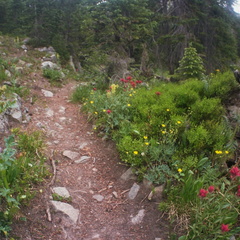 Baker Gulch Trail